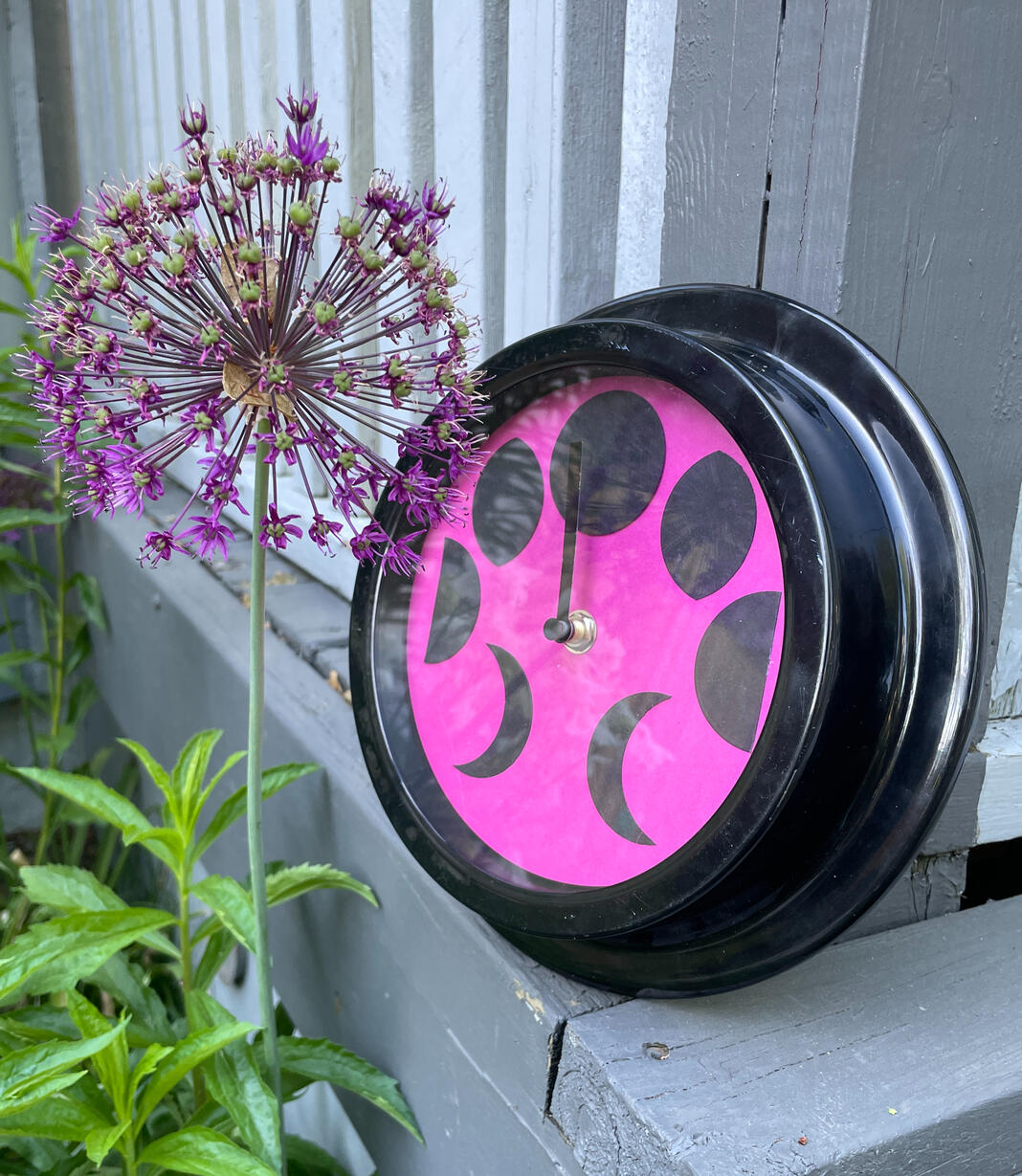 20cm Black and Pink $85